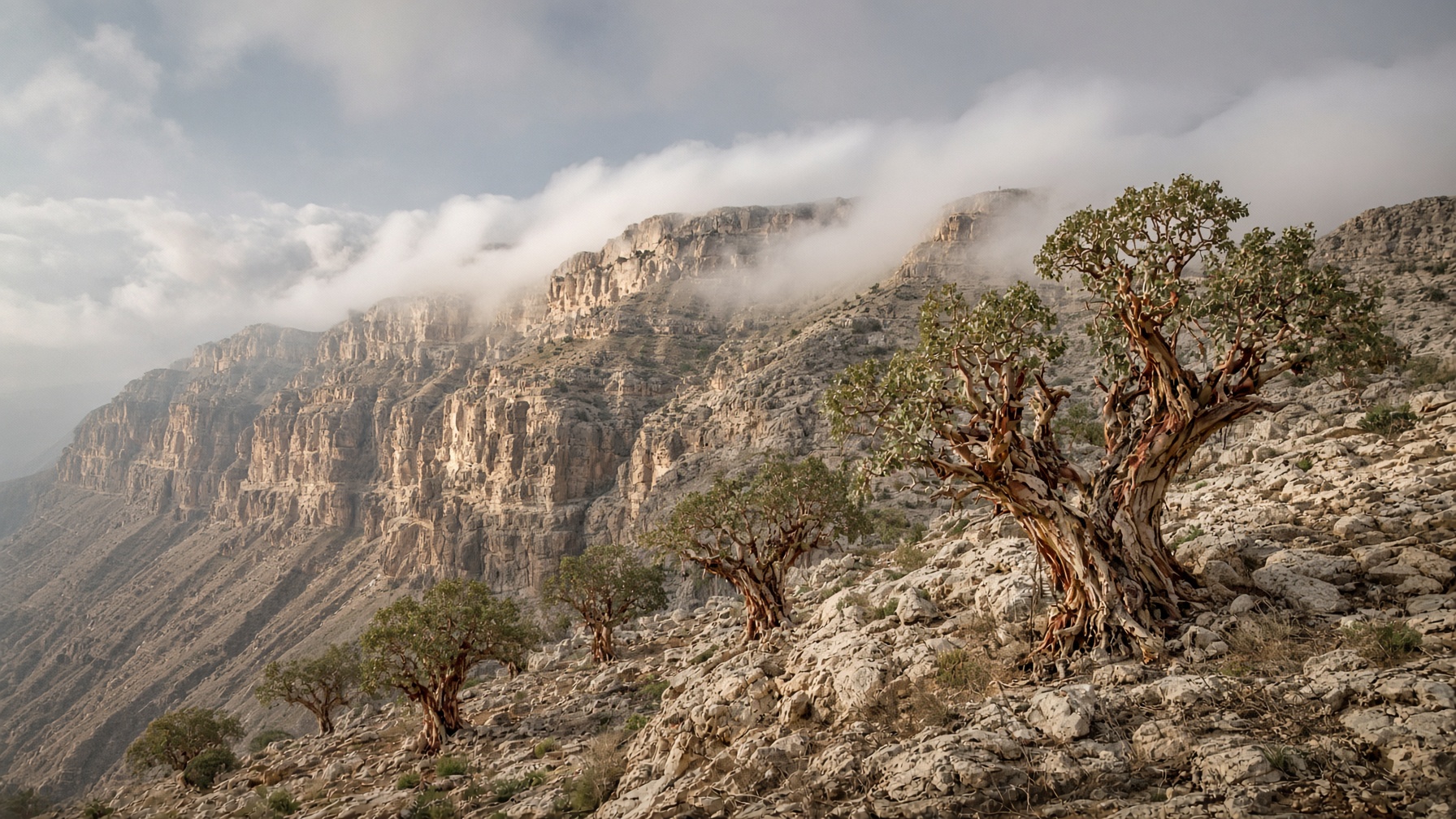 The escarpment