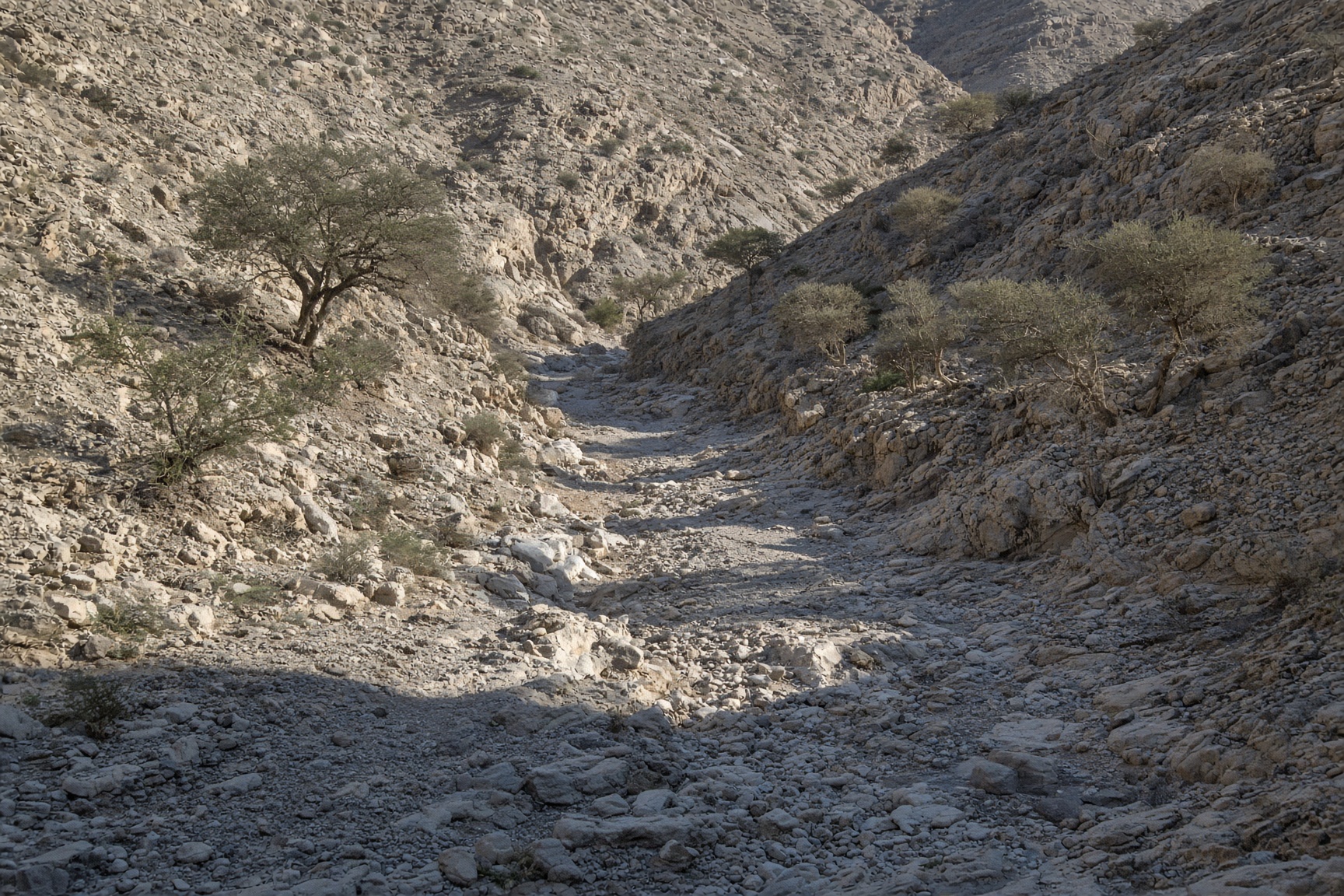The wadi below the trees